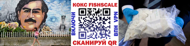 OMG маркетплейс  Северодвинск  Кокаин Fish Scale 