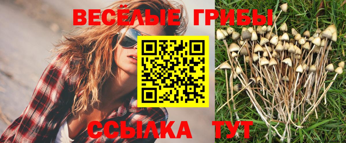 МЕТАДОН  Северодвинск  Меф кристаллы  Вход с VPN  Каннабис  Экстази  ГАШИШ  МДМА 