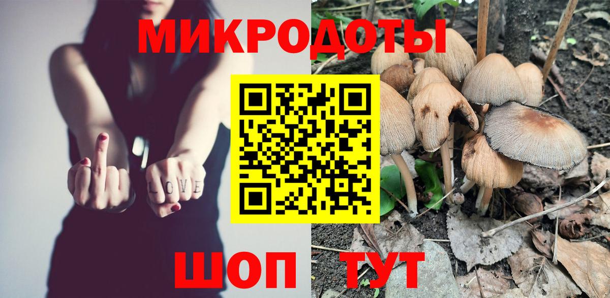 Северодвинск  Псилоцибиновые грибы MAGIC MUSHROOMS  Вход с VPN 