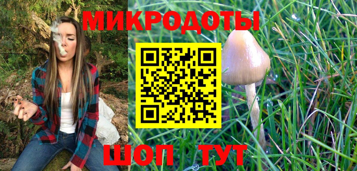 Псилоцибиновые грибы Cubensis Северодвинск